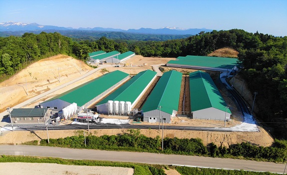 写真：片馬合農場